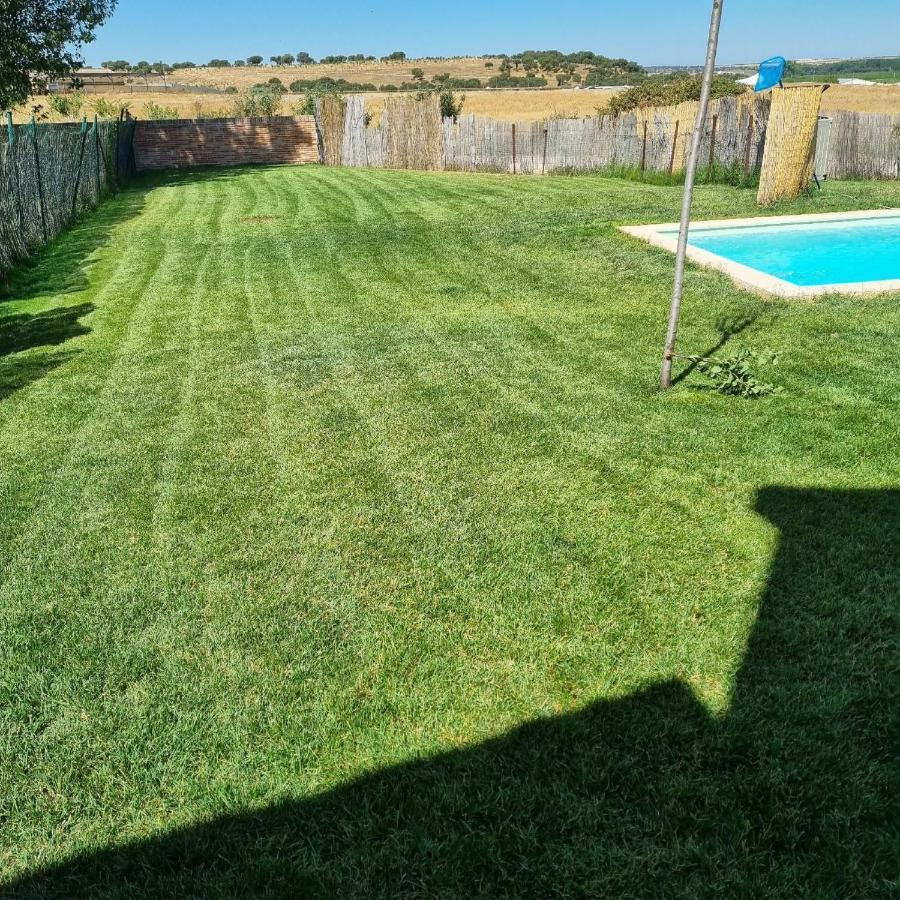 Casas Olmo Y Fresno Jardin Y Piscina A 17 Kilometros De Salamanca Exterior foto